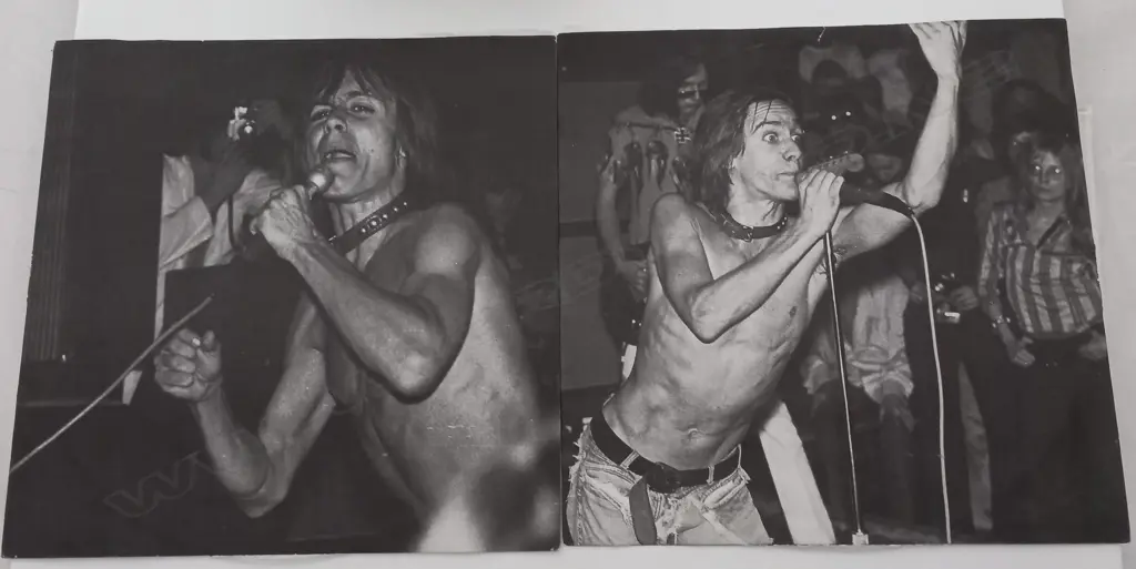 The Stooges, Metallic 2xKO (Double album, white vinyl) Image 1++